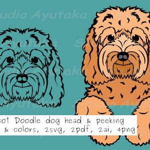 apricot doodle dog peeking and head line art bundle, svg, png, ai, pdf