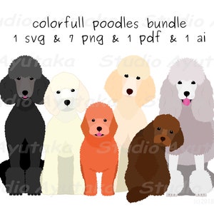 paquet de caniches colorés, svg, png, pdf, ai, fait main, illustration, dessin numérique