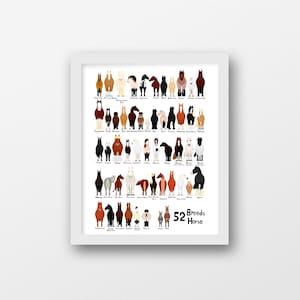 52 rasy koni, cyfrowa tabela, svg, jpg, png, 16*20'', ilustracja, rysunek cyfrowy, ręcznie robiony