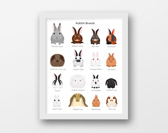 May include: A framed wall art print titled Rabbit Breeds, featuring sixteen illustrated rabbit varieties including Flemish Giant, Belgian Hare, Mini Rex, Harlequin, American Fuzzy Lop, English Spot, Florida White, Lionhead, Dutch, English Angora, Himalayan, Holland Lop, Dwarf Hotot, English Lop, Netherland, and Mini Lop.