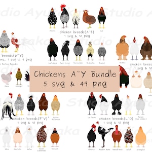 A~Y 49 poulets de race gros paquet, svg, png, illustration, dessin numérique, fait main