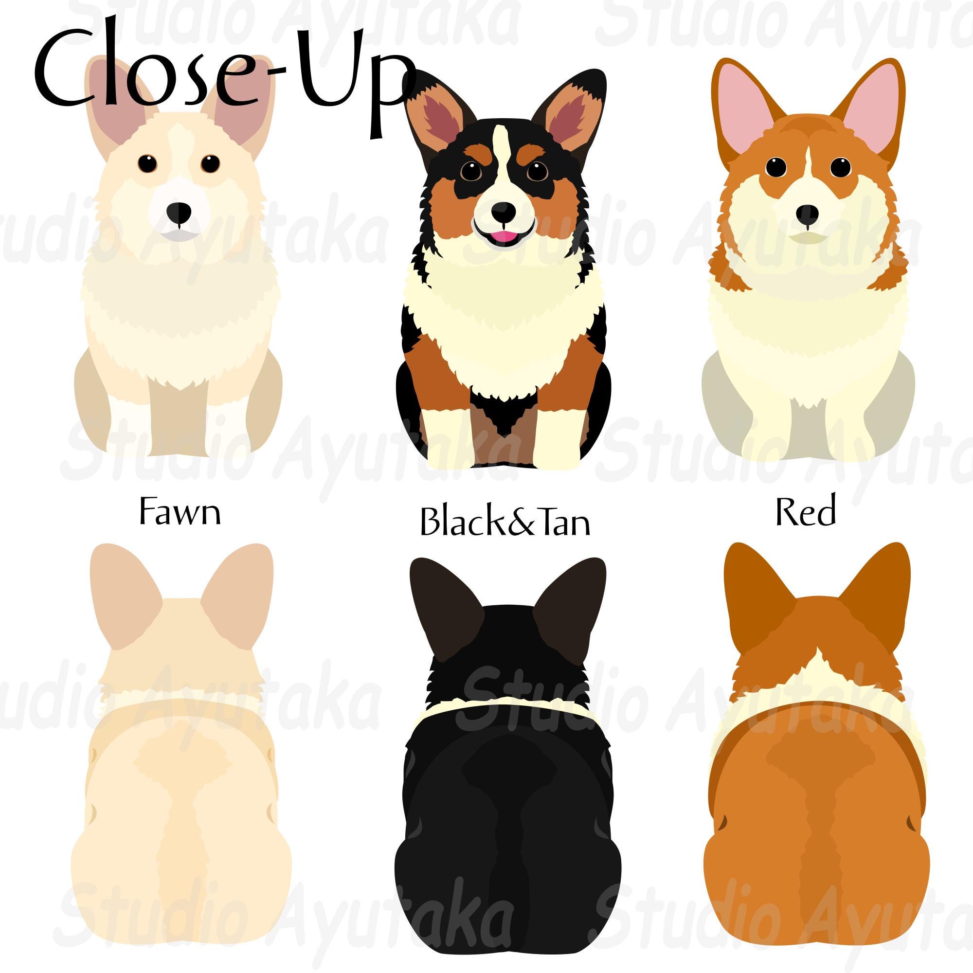 Pembroke Corgi Dog Color Variations Bundle, Png, Pdf, Ai - Etsy