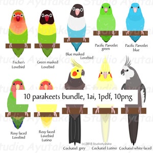 10 pet Parakeet birds bundle, ai, pdf, png