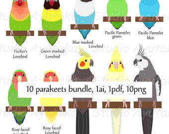 10 pet Parakeet birds bundle, ai, pdf, png