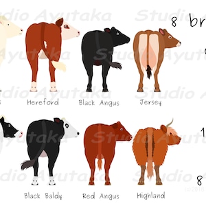 8 breeds of cows rear view set, svg, png