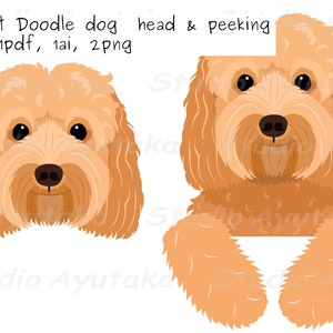 apricot doodle dog peeking and head bundle, svg, png, ai, pdf