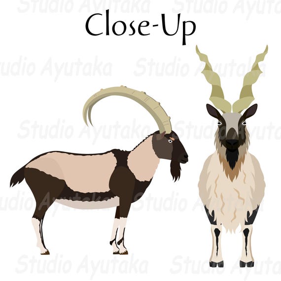 Goat Breeds S~V & Wild Breeds Bundle, Ai, Pdf, Png - Etsy UK