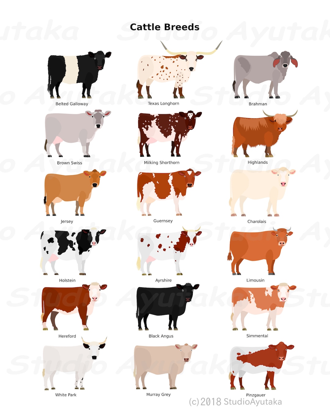 Various Breeds of Cows Chart, Svg, Png, Jpg - Etsy