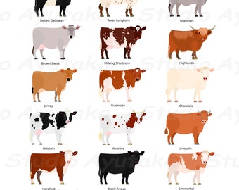 various breeds of cows chart, svg, png, jpg