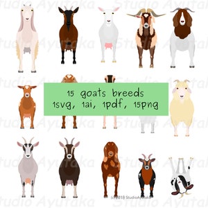 15 geitenrassen bundel, svg, pdf, ai, png, illustratie, digitale tekening, handgemaakt