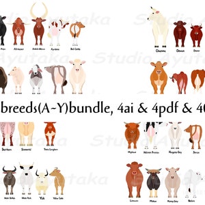 A~Y 40 rassen koeien grote bundel, png, ai, pdf, illustratie, digitale tekening, handgemaakt