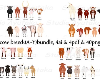 A~Y 40 breeds cows big bundle, png, ai, pdf