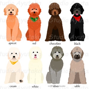 Goldendoodle colors bundle1, png, pdf, ai 画像 2