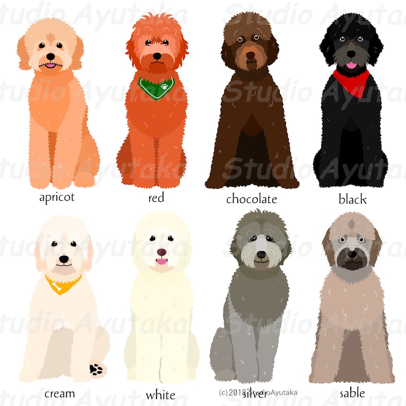 Goldendoodle colors bundle1, png, pdf, ai 画像 2