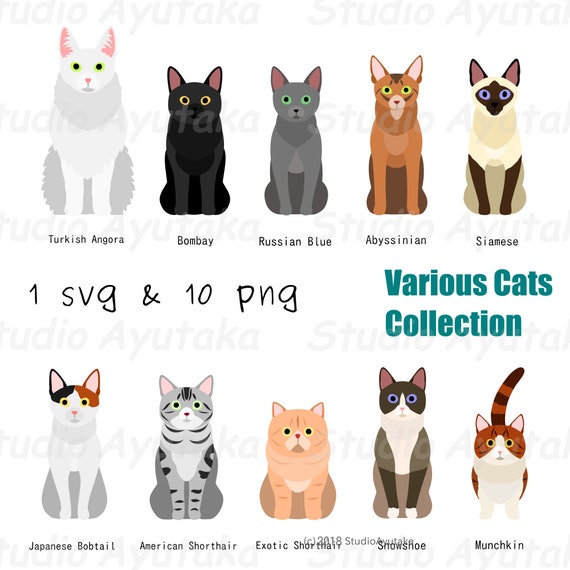 cats breeds , svg, png, jpg, 16*20