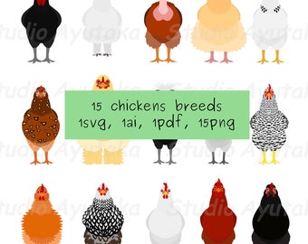 15 breeds of chickens bundle, svg, pdf, ai, png
