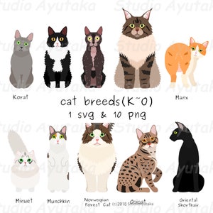 cat breeds(K~O), svg, png, illustration, digital drawing, handmade