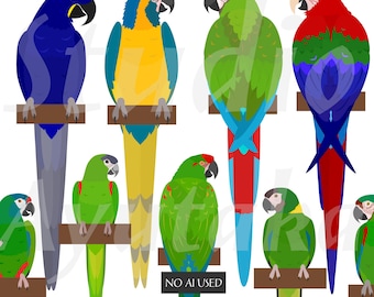 Illustrationspaket mit 11 verschiedenen Ara-Arten (PNG, EPS, PDF)