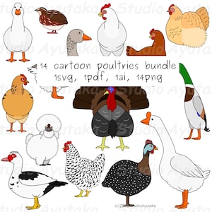 14 breeds cartoon poultry bundle, svg, pdf, ai, png, illustration, digital drawing, handmade