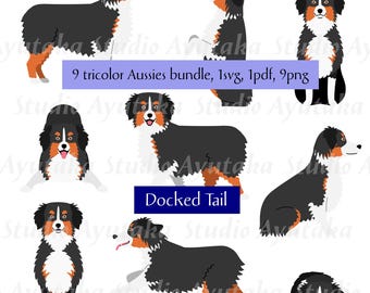 9 Schwarze Tricolor Australian Shepherds (kupierte Rute) – Paket – Handgezeichnete digitale Illustrationen