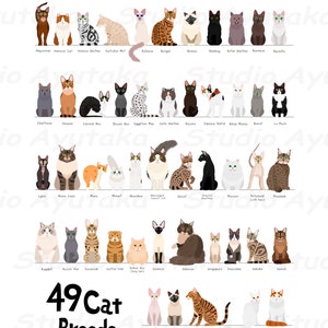 49 breeds of cats chart, svg, jpg, png, 16*20"