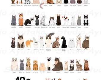 49 breeds of cats chart, svg, jpg, png, 16*20"