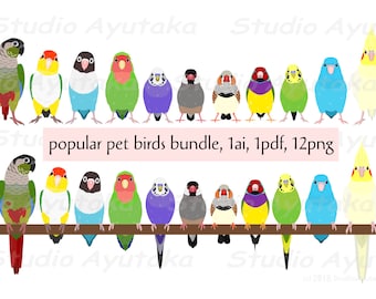 11 popular pet birds bundle, ai, pdf, png