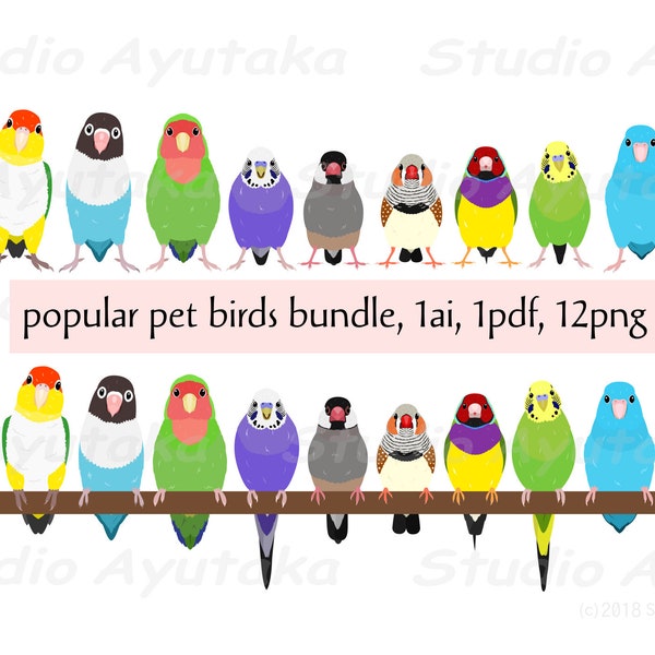 11 popular pet birds bundle, ai, pdf, png