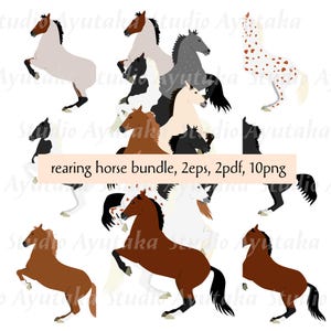 pacote de cavalos empinados, um grupo e indivíduos, 2eps, 2pdf, 10png, ilustração, desenho digital, feito à mão