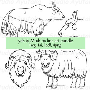 Yak und Moschusochse Line Art Bundle, SVG, Ai, PDF, PNG, Illustration, digitale Zeichnung, handgefertigt