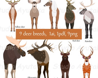 9 deer breeds bundle, png, ai, pdf, illustration, digital drawing