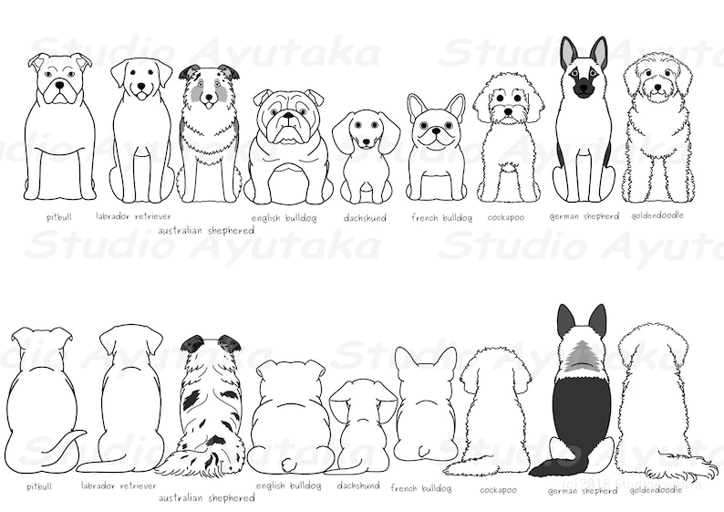 9 dogs sitting front & back lineart bundle, svg, png 画像 3