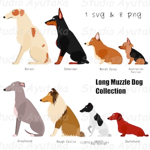 8 long muzzle dogs bundle, svg, png, handmade, illustration, digital drawing