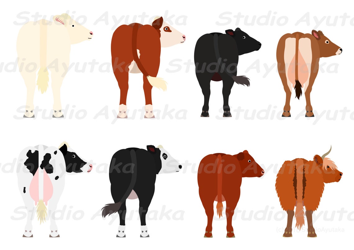 8 Breeds of Cows Rear View Set Svg Png | Etsy