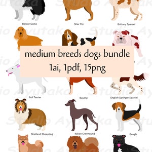 medium dogs breed bundle, png, ai, pdf