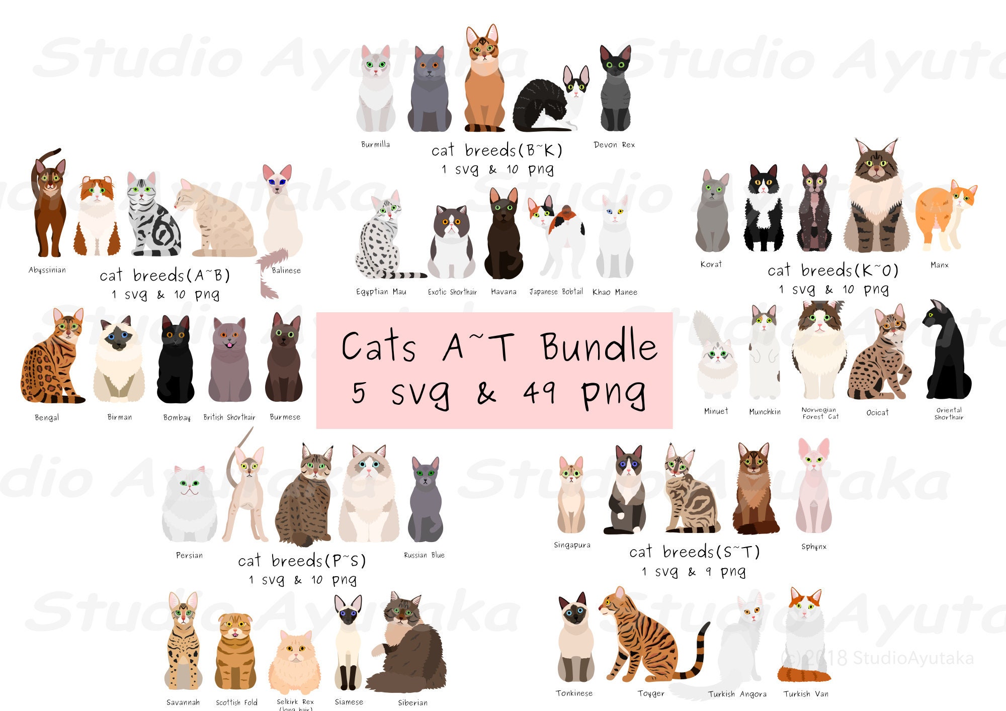 cats breeds , svg, png, jpg, 16*20