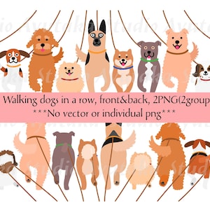 以下が含まれることがあります： 様々な犬種が並んで歩いているイラスト。一部は正面、一部は背面。犬たちはリードを付けている。ピンク色のバナーには「Walking dogs in a row, front&back, 2PNG(2groups)」と書かれている。