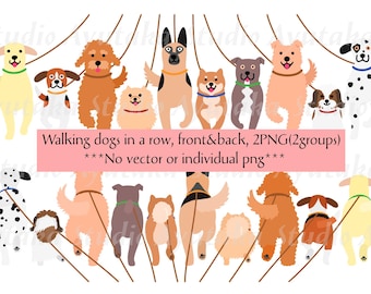 Cartoon-Hunde, die mit Leinen von vorne und hinten laufen, Farbe, *nur PNG*, Illustration, digitale Zeichnung, handgefertigt