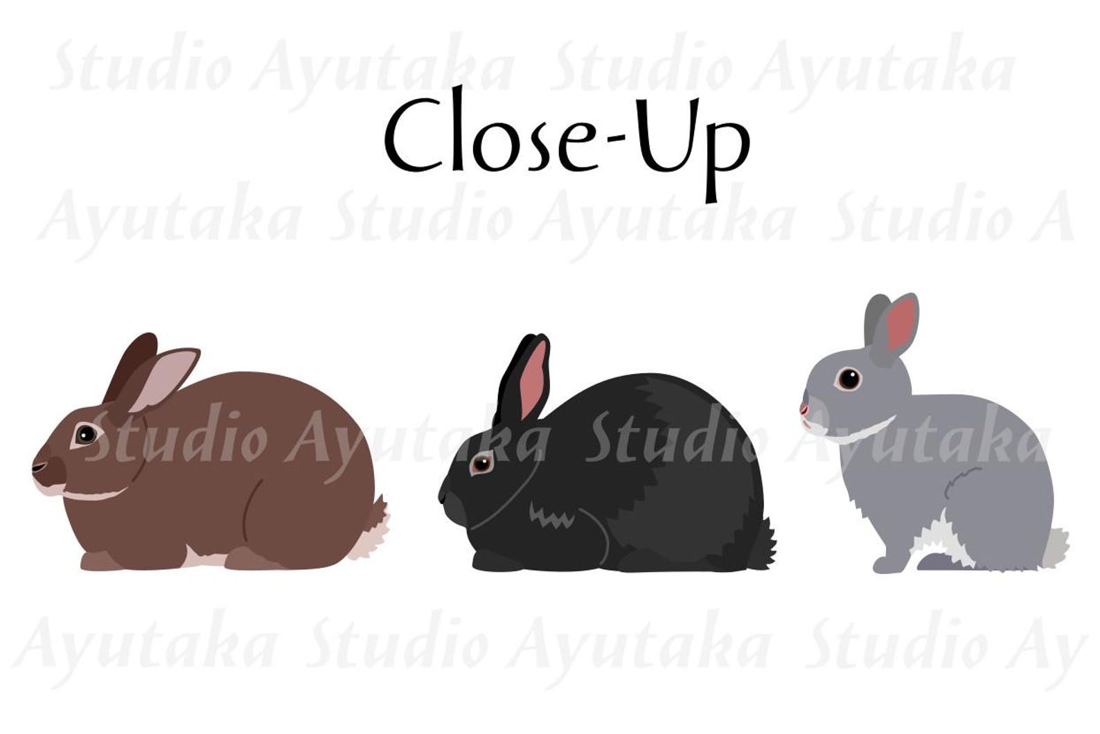 52 Rabbit Breeds Digital Chart, 16*20''printable Chart, Pdf, Png, Svg ...
