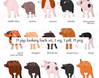 15 Schweine, die zurückblicken – Clipart-Set, SVG, PDF, PNG, handgezeichnete digitale Illustrationen