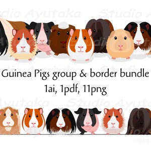 Guinea Pigs group & row bundle, ai, pdf, png 画像 1