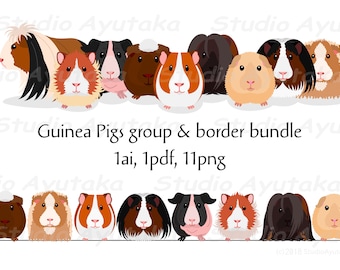 Grupo de cobaias e pacote de linha, ai, pdf, png, ilustração, desenho digital, feito à mão