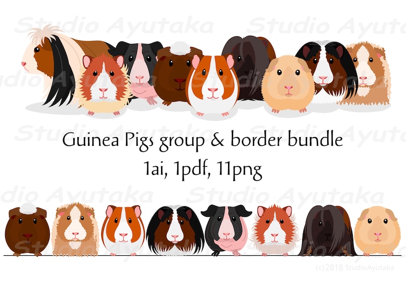 Guinea Pigs group & row bundle, ai, pdf, png 画像 1
