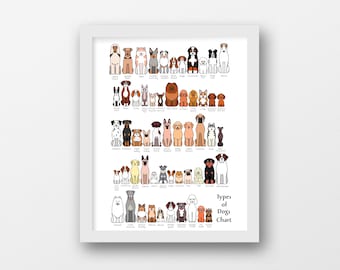 Hunderassen-Übersicht, Cartoon-Hunde-Übersicht, digitales Design, JPG, PDF, PNG, 16 x 20 Zoll, Illustration, digitale Zeichnung, handgefertigt