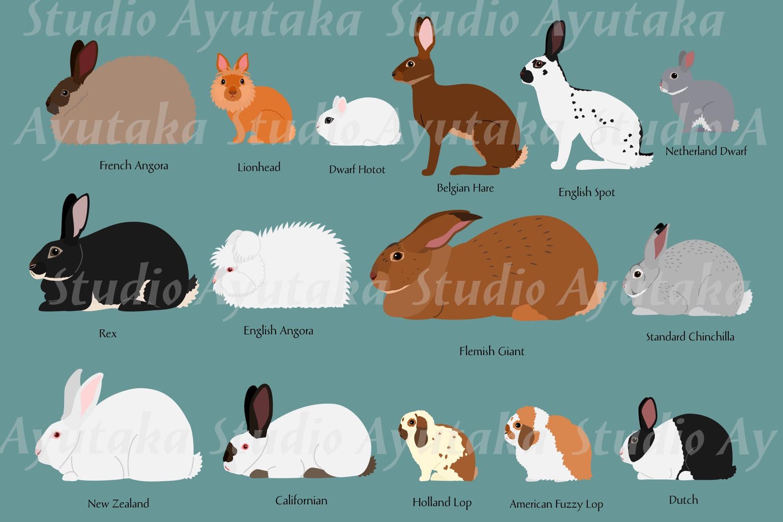 15 Popular Rabbit Breeds SVG & PNG Set - Etsy