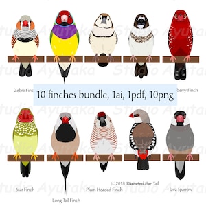 10 pet Finches bundle, ai, pdf, png image 1