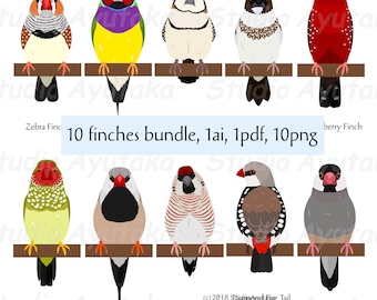 10 pet Finches bundle, ai, pdf, png