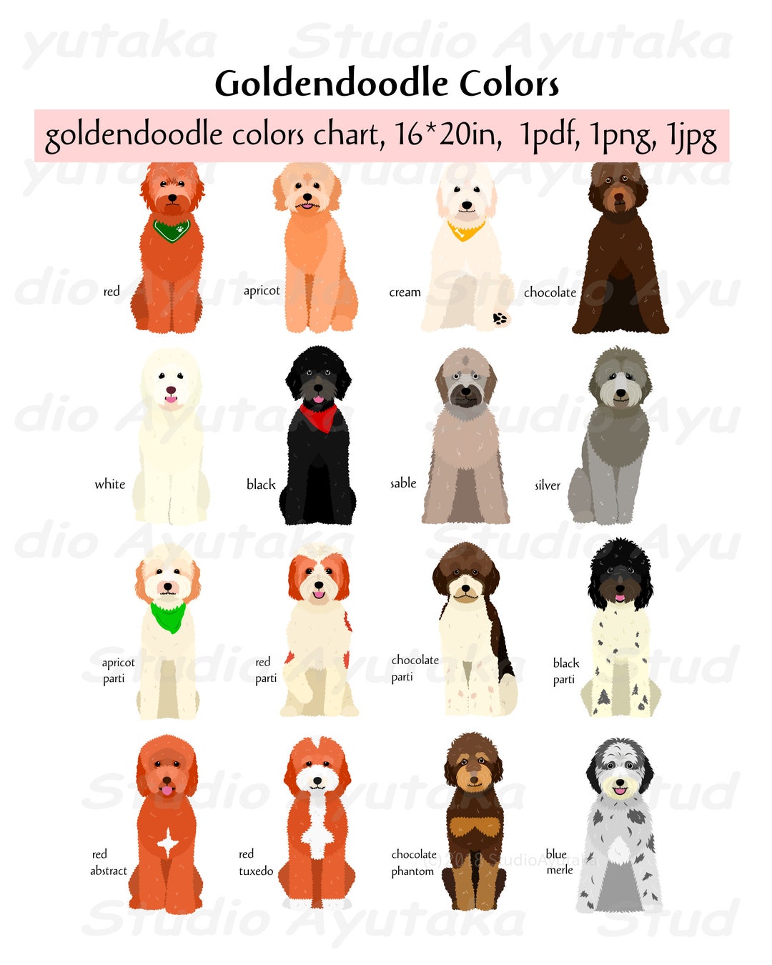Goldendoodle Chart