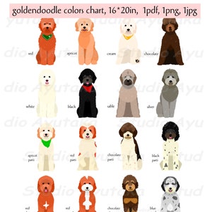 16 colors of goldendoodle chart, 1 pdf, 1 jpg, 1 png, 16*20&#39;&#39;