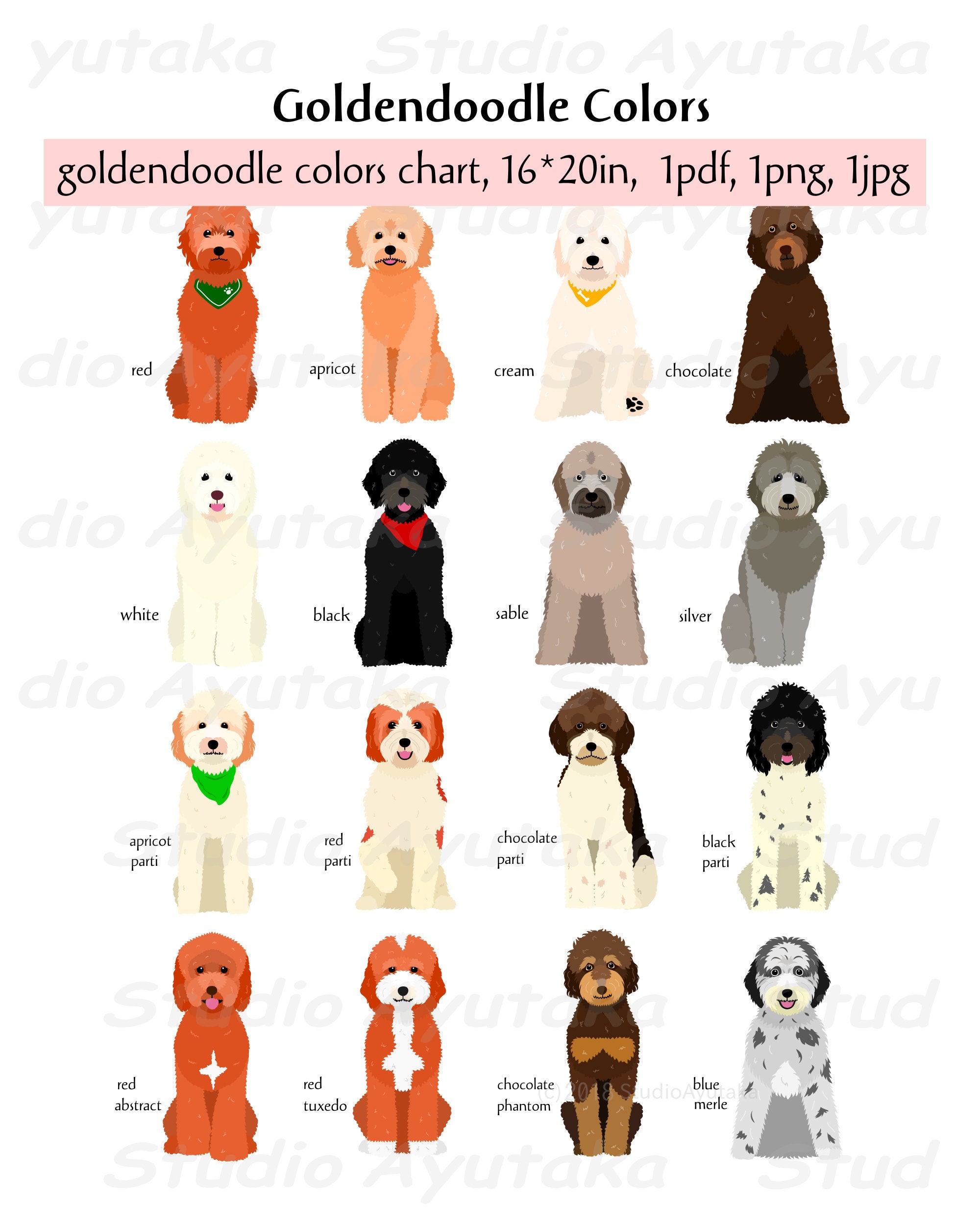 Different goldendoodle hotsell types